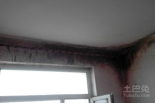 装修好的房顶漏水怎么办,装修小知识避免踩坑的方法
