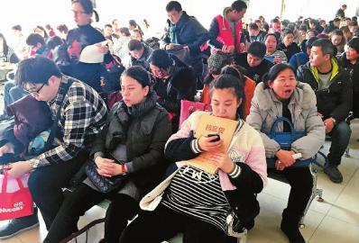 猴宝宝找妈妈视频大全,为什么今年猴宝宝这么多