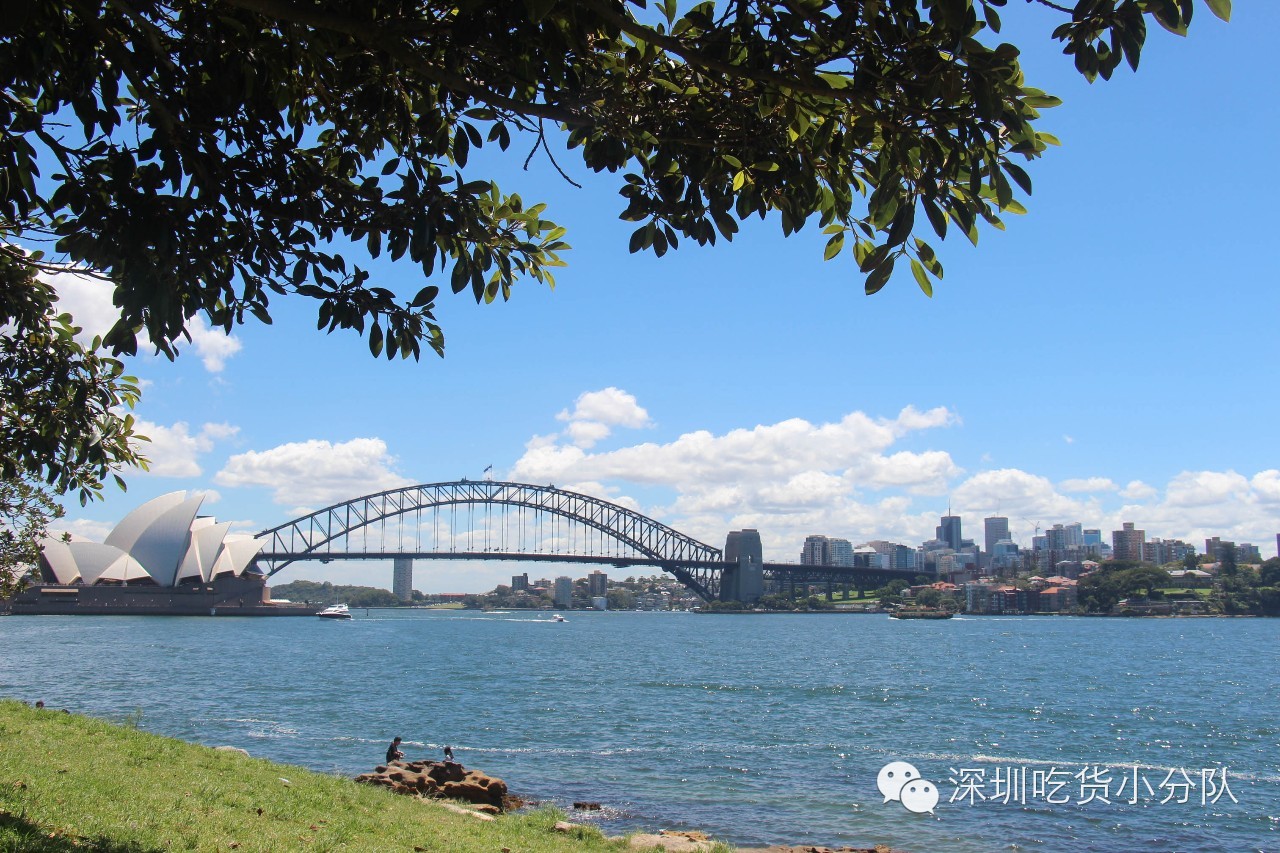 吃货浪游记丨我的胃说想去南半球看看~