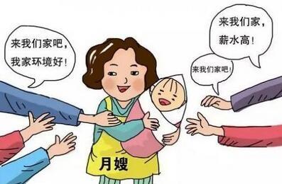 猴宝宝找妈妈视频大全,为什么今年猴宝宝这么多