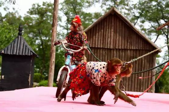 临沂元宵节快乐视频,临沂沂州古城元宵节