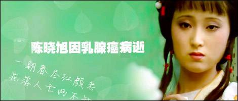 因《红楼梦》暴红的陈晓旭患乳腺癌后为何拒绝治疗要出家?