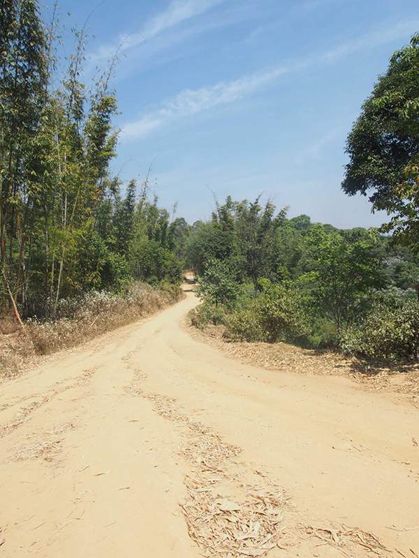 茶人茶语精辟句子,茶人茶语经典语录