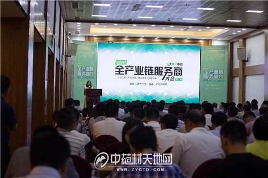 中药材产业发展大会,中药材种植产业大会