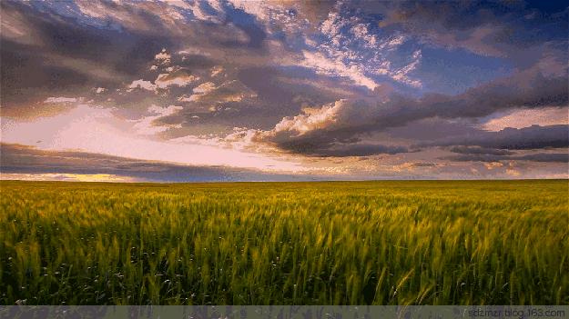 厦门出发的特价机票,厦门旅游特价机票价格多少