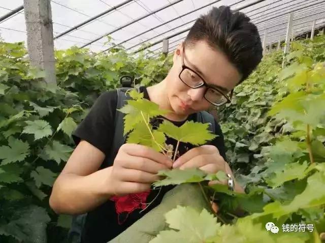 拉卡拉与考拉云商什么关系,拉卡拉考拉