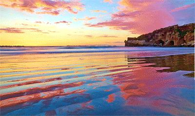 曾逐梦远方他乡,今逐梦丝路起点,物流园评论区已沦陷!