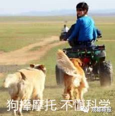 39.5℃高烧五天!妈妈不让1岁女儿去医院,还拒绝用药!她的话惊人……