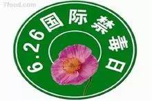 国际禁毒日珍惜生命远离毒驾,国际禁毒日愿天下无毒