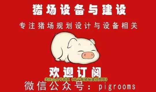 生产水泥漏粪地板全过程,常用猪场漏粪地板尺寸