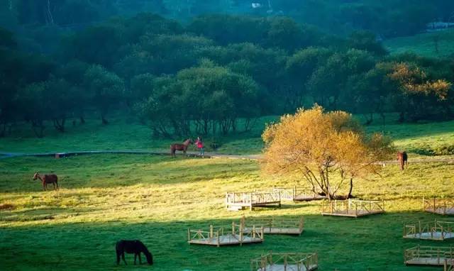 宝鸡去大水川的车次,宝鸡有直达大水川的班车吗