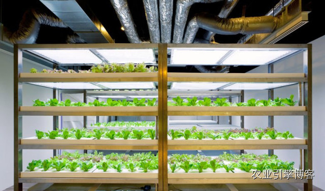 浜笢鐢熼矞鏃犲湡鏍藉煿,鏃犲湡鏍藉煿钄彍浜笢鐢熼矞