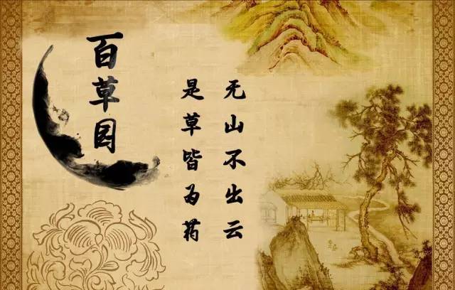 百草园有什么药材,百草园里面有什么草