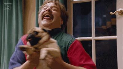 魔性的八哥,有超能力的巴哥