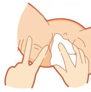 专家在线丨女宝的「下面」无需太干净？因为……