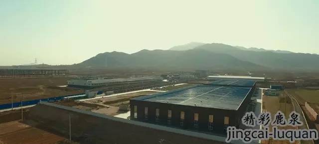 鹿泉上市公司有哪几家,鹿泉上市企业名单