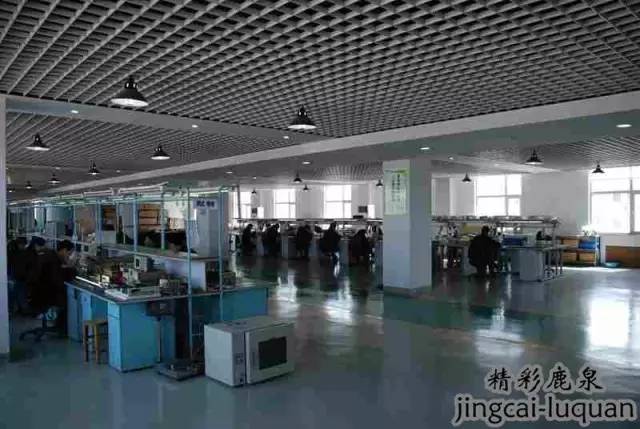 鹿泉上市公司有哪几家,鹿泉上市企业名单