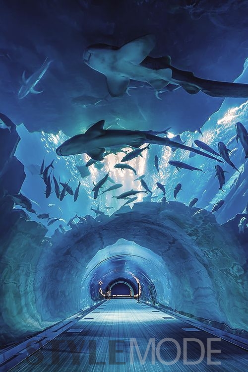 阿联酋迪拜旅游免签吗,阿联酋迪拜旅游攻略及签证介绍