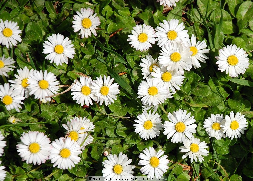 女人是水做的,女人是水做的这句话怎么理解