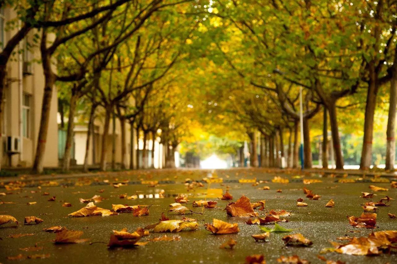 集结号｜报考*警武**工程大学的十个理由