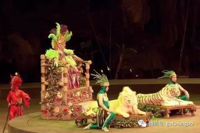 送你一份旅游大礼包速来领取,重磅12个旅游大礼包来袭