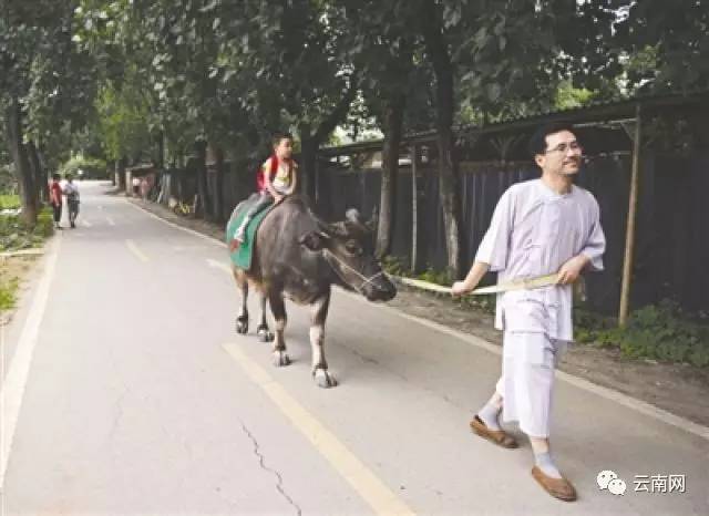 昆明催乳师多少钱,昆明催乳师