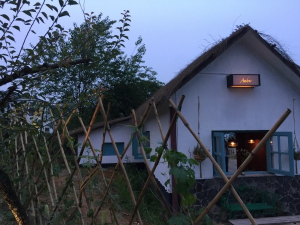 阿丽拉安吉中餐,安吉阿丽拉餐饮