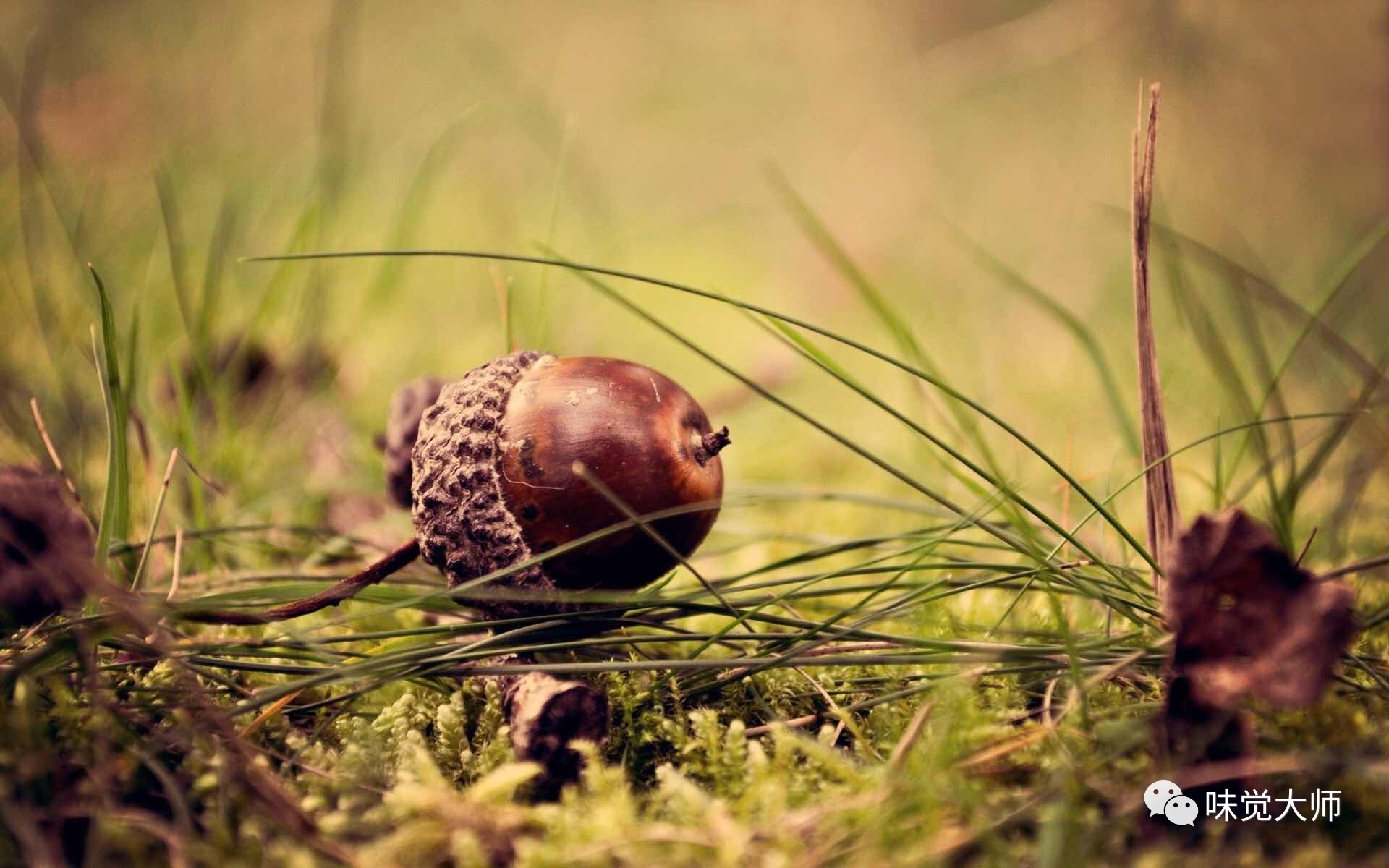 伊比利亚火腿怎么吃最好,伊比利亚火腿新手入门教程