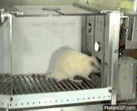 赌瘾为什么会发生,赌瘾到底怎么回事