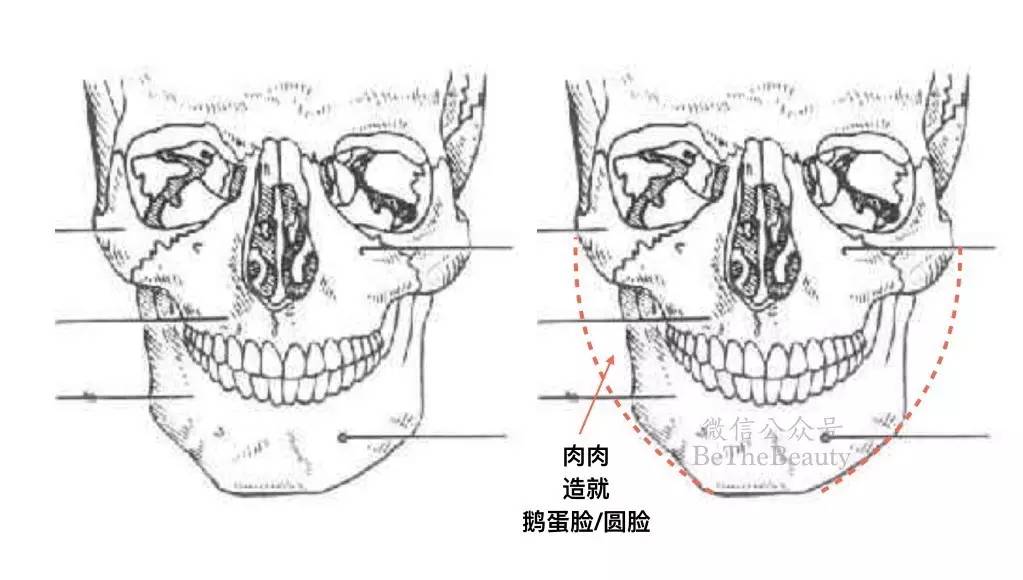 如何准确简单的判断自己的脸型,想知道自己的脸型是什么样的脸型