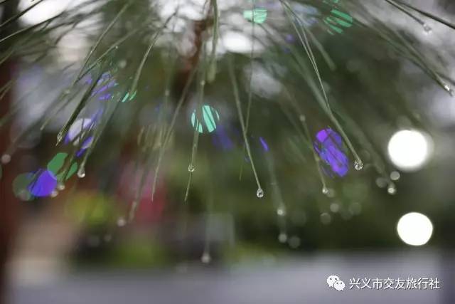 自驾二十四道拐,我爱自驾游最新视频