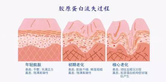 鍏斿濂界墿鍒嗕韩,鍏斿瀹炴儬濂界墿鍒嗕韩