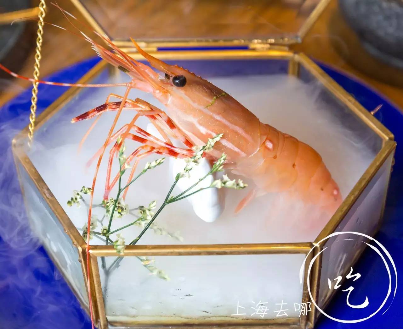 山葵芥末寿司,芥末寿司大战完整版