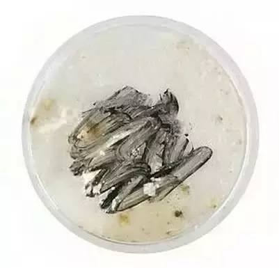 快翻翻你的包里有没有这些东西！放时间长了=毒药！