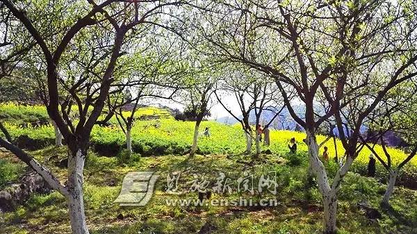 恩施各乡镇干部名单,恩施市各村村干部名单