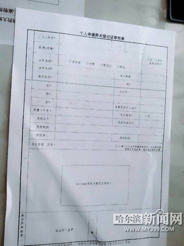 「爱犬」不花1分钱你的狗狗也能有“身份”了丨附8个*证办**地点及哈市禁养犬品种目录