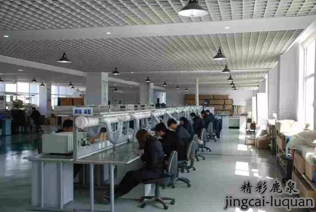 鹿泉上市公司有哪几家,鹿泉上市企业名单