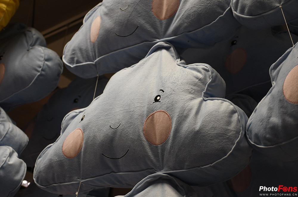 尼康d7500实拍测评,尼康d7500配50-1.8镜头拍什么最好