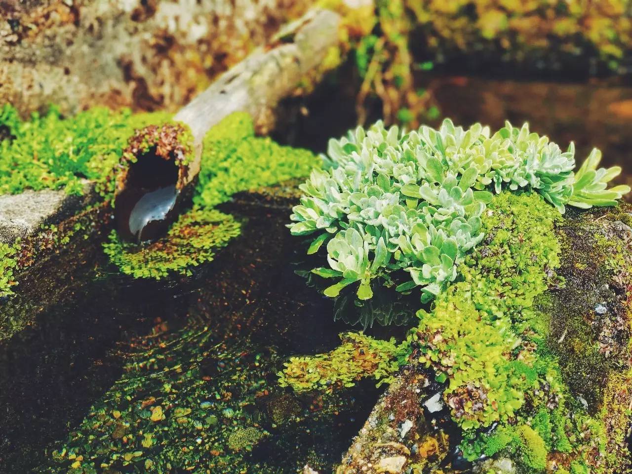 暑期日本之旅,暑假日本旅游攻略