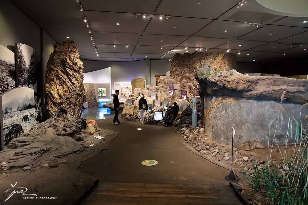 暑期日本之旅,暑假日本旅游攻略