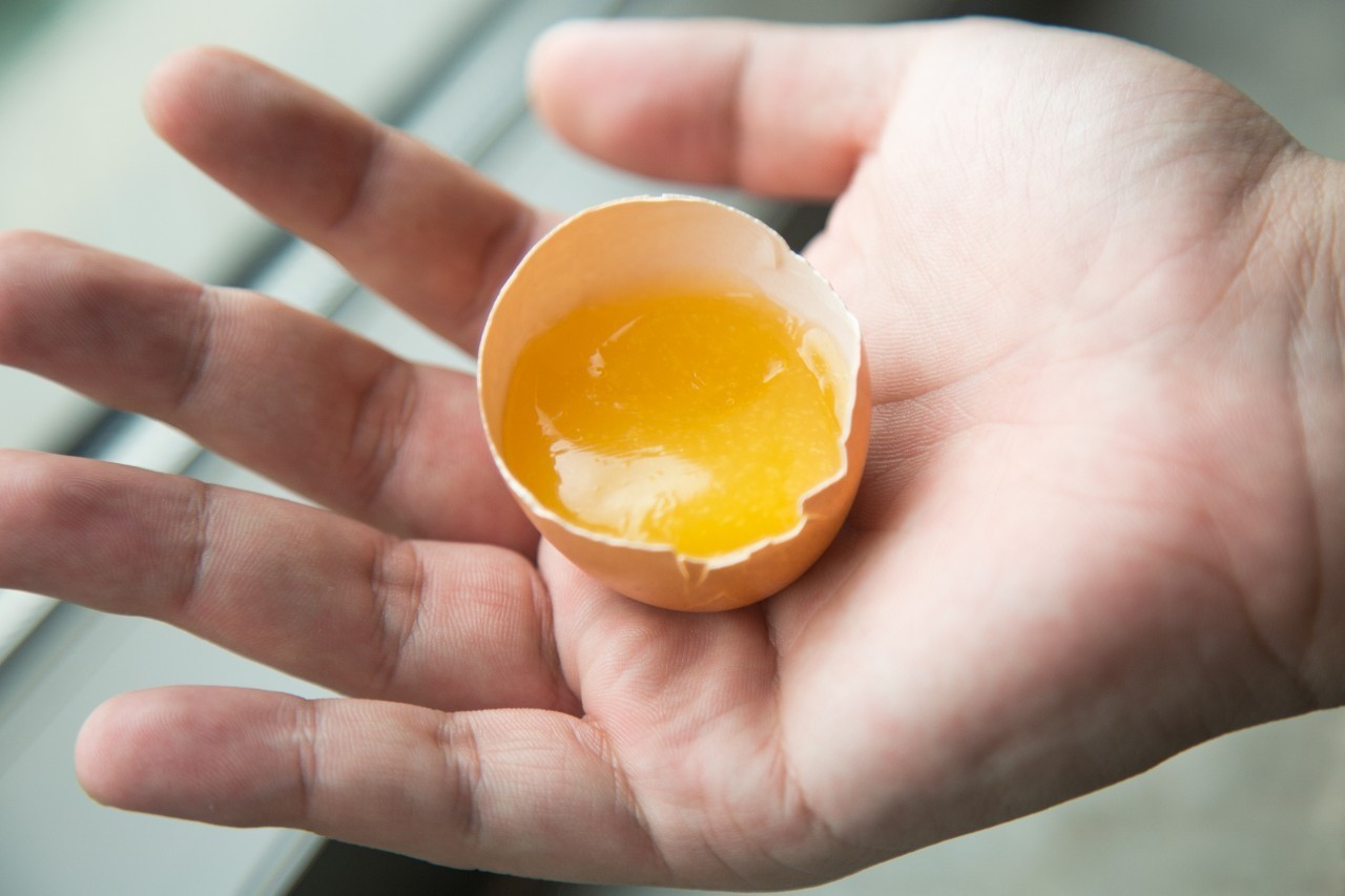 花一元品尝任意菜品，川食公馆为庆祝怡丰城店开业，也是给力了！