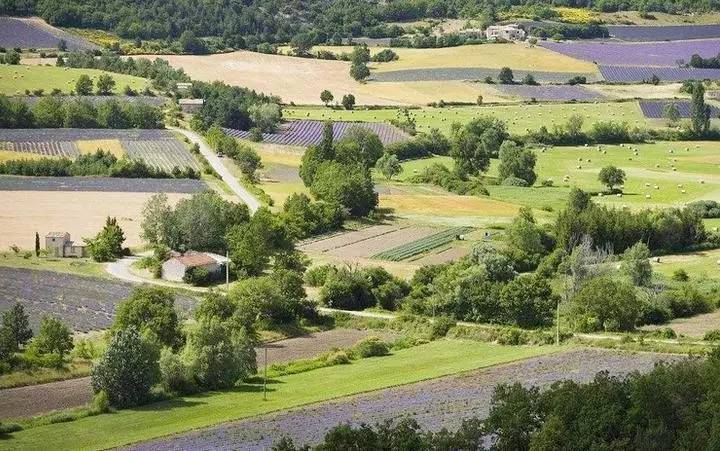 女人是水做的,女人是水做的这句话怎么理解
