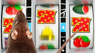 赌瘾为什么会发生,赌瘾到底怎么回事