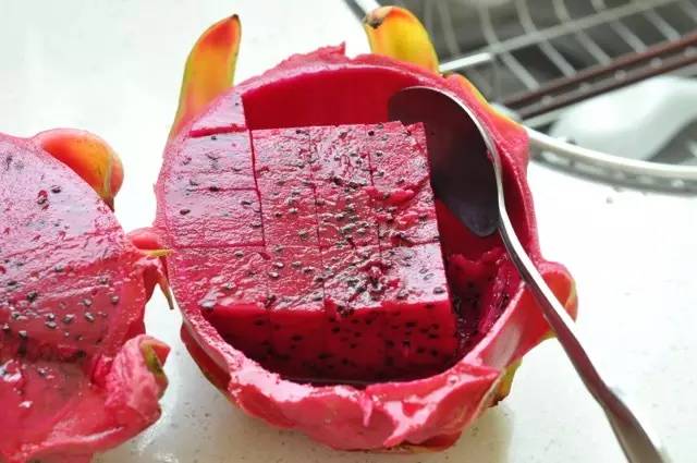 再忙也要为你做早餐︱第52期:卡通食物·狐狸之家