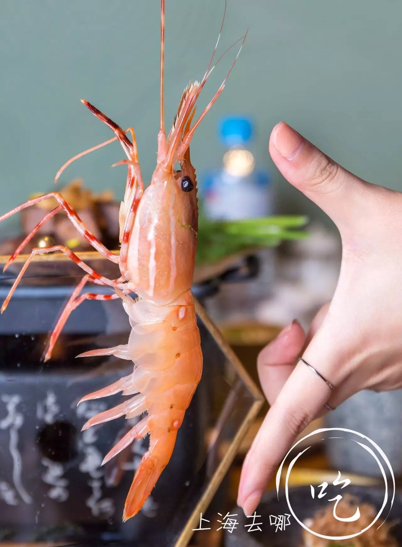 山葵芥末寿司,芥末寿司大战完整版