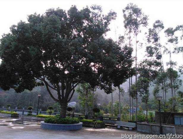 福州最霸气的县城,福州都有哪些镇