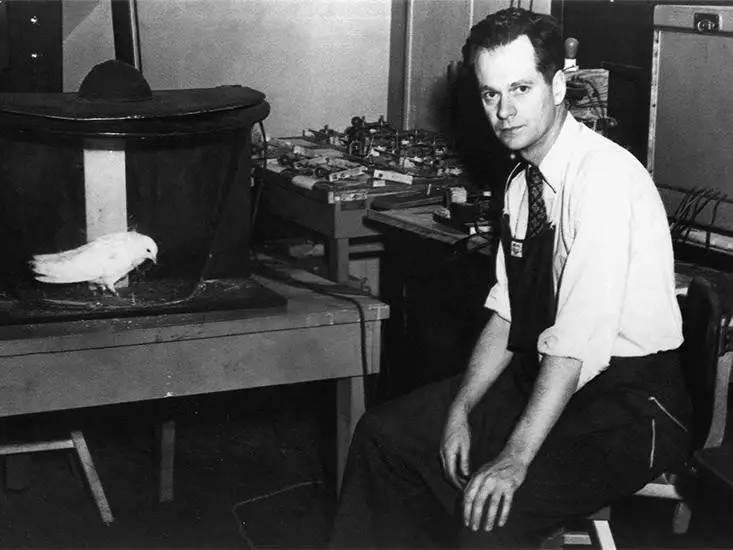 赌瘾为什么会发生,赌瘾到底怎么回事