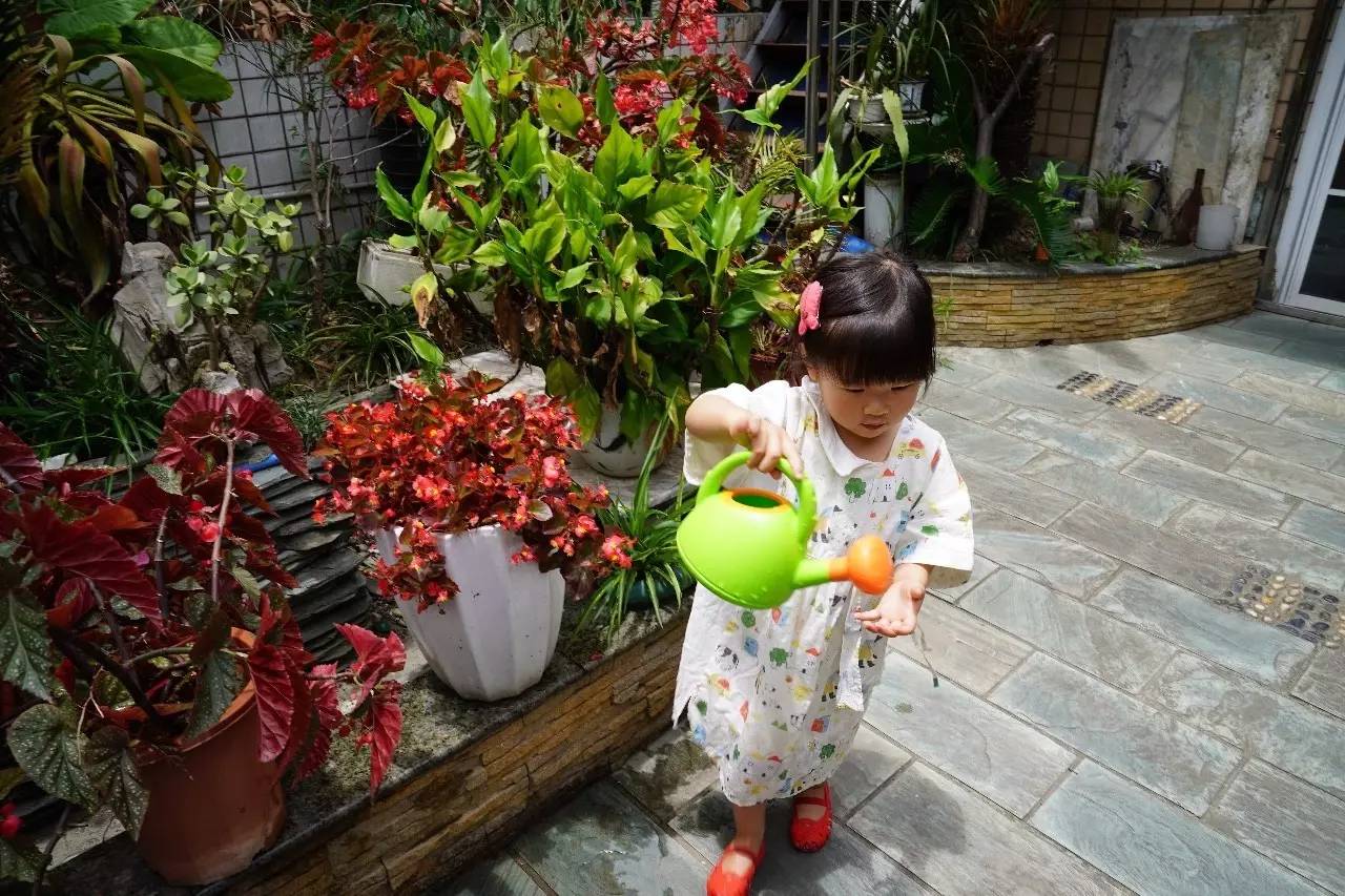 Hape儿童沙滩玩具,一年中最适合玩的沙滩玩具