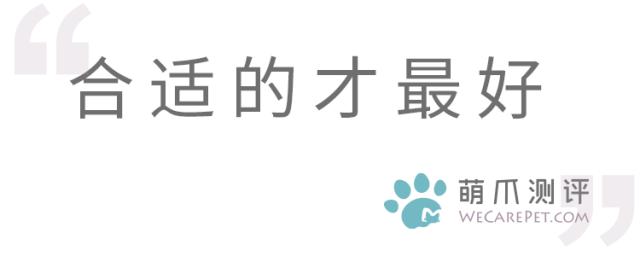 猫砂盆大比拼,猫砂盆六维度测评