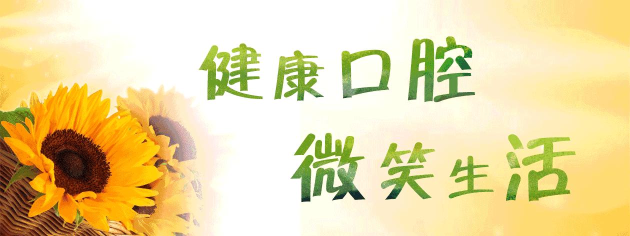 25岁网贷还不上怎么办,20万网贷还不起怎么办